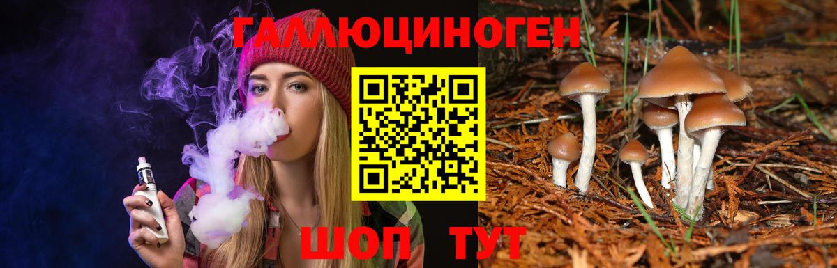 Менделеевск  Псилоцибиновые грибы мицелий  Вход с VPN 